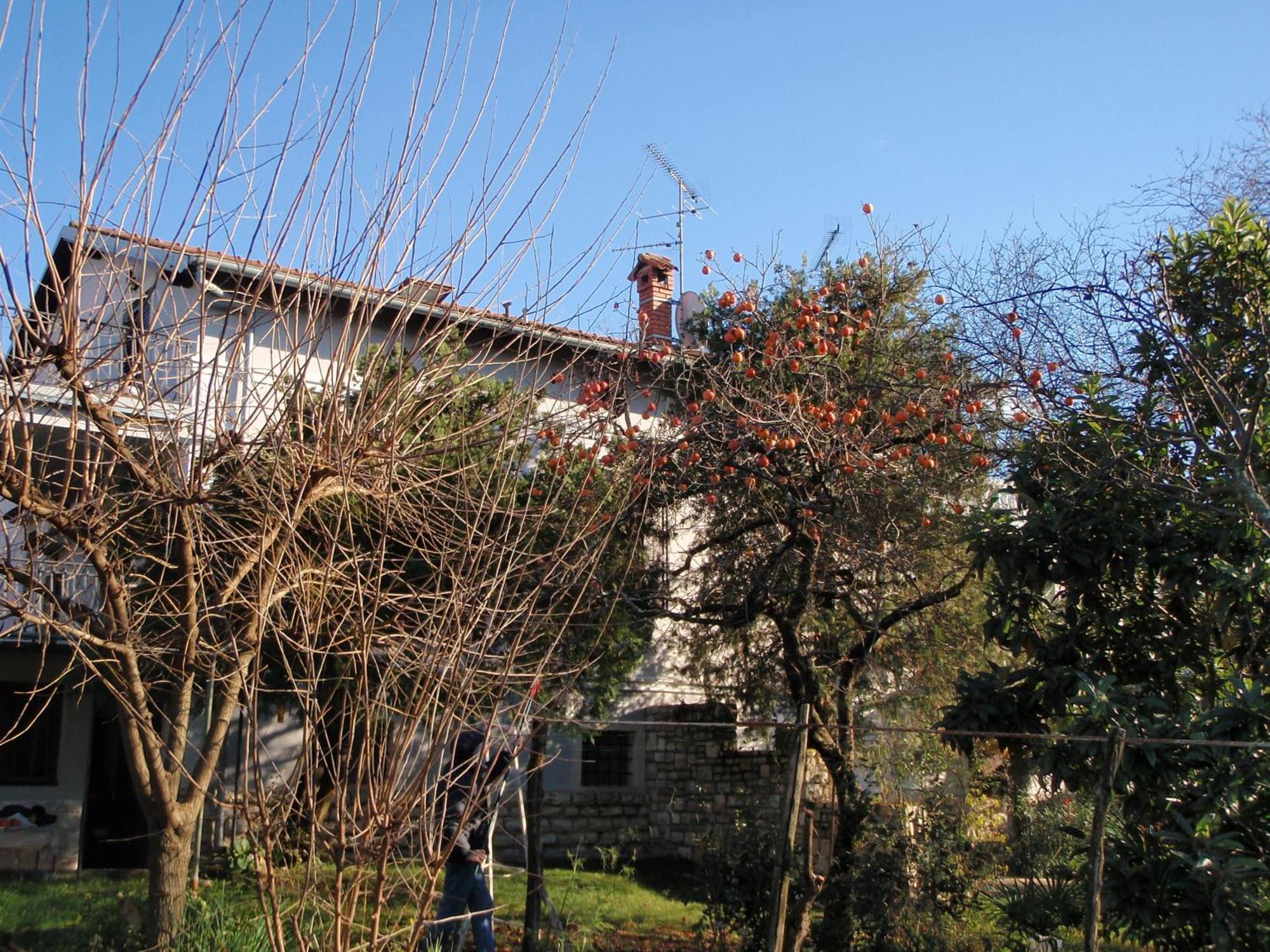 Apartments Miri Zambratija  Exterior photo
